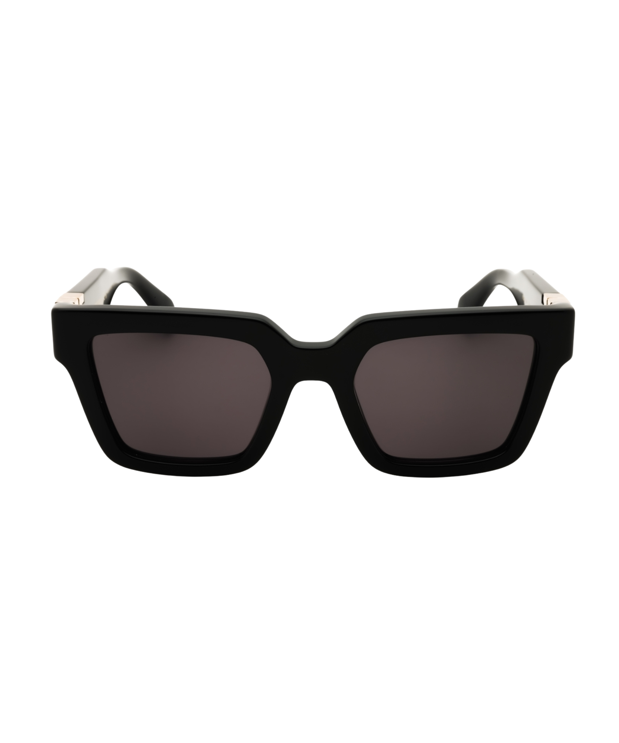 SALVATORE FERRAGAMO SF2066S Sunglasses